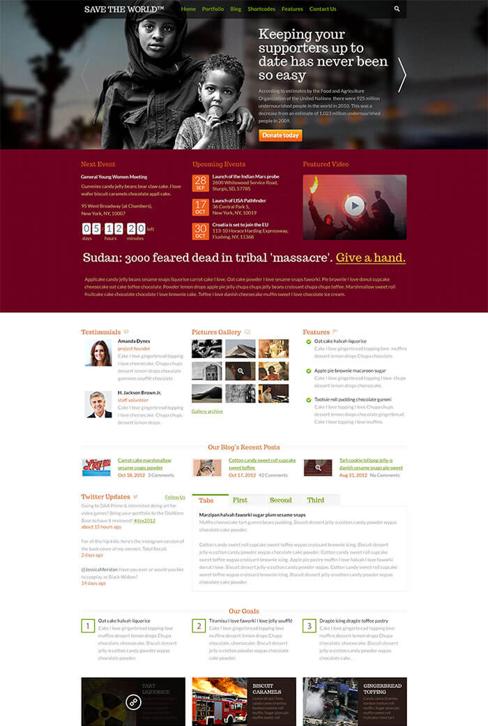 Save the World – Free Charity WordPress Theme