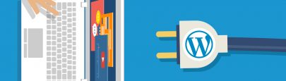 wordpress plugin