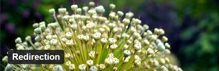 WordPress Redirection Plugin