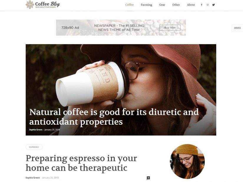 Best WordPress Blog Theme in 2018 Newspaper