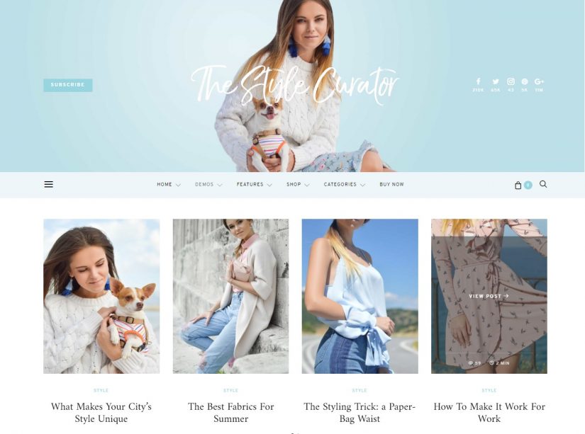 Authentic Theme for WordPress 2018