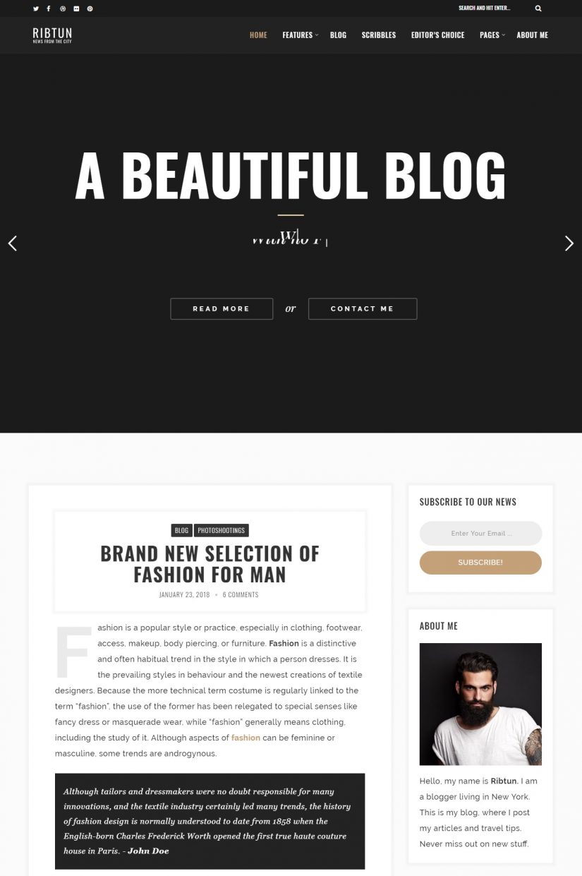 RibTun Blog Theme on WordPress 2018