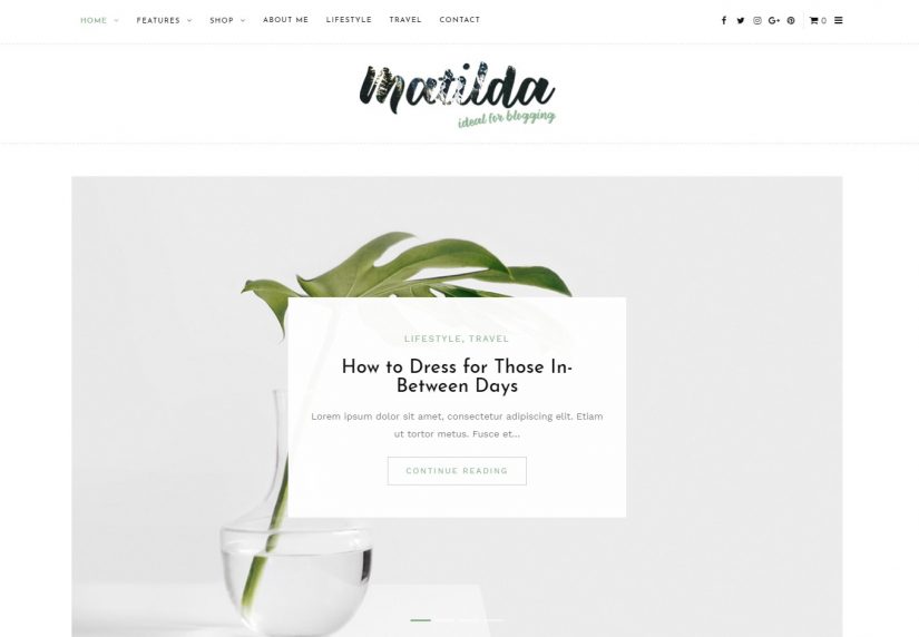 Matilda 2018 WordPress Theme for a Blog
