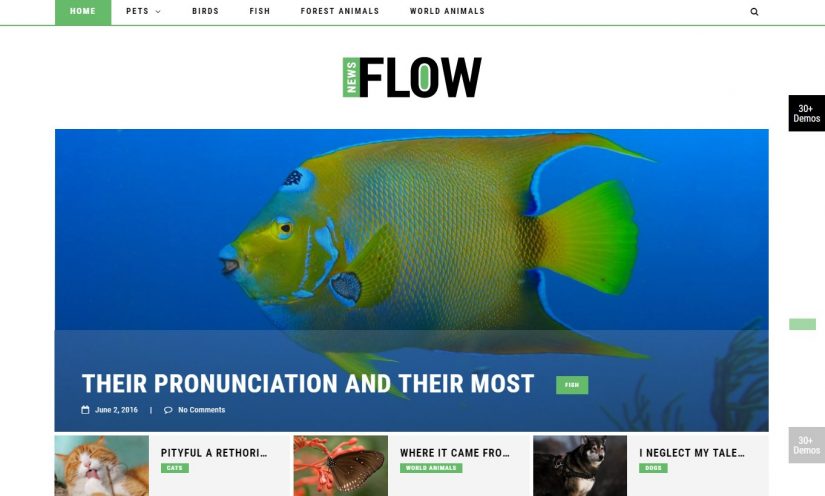 FlowNews Blog Theme for 2018 WordPress