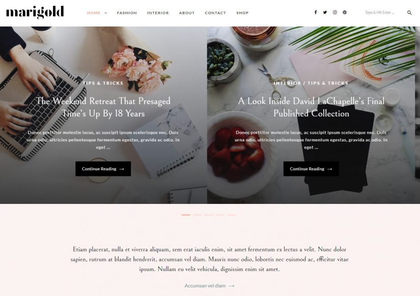 Marigold WordPress Blog Theme 2018