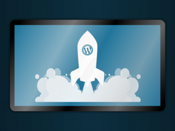 WordPress Speed Optimization