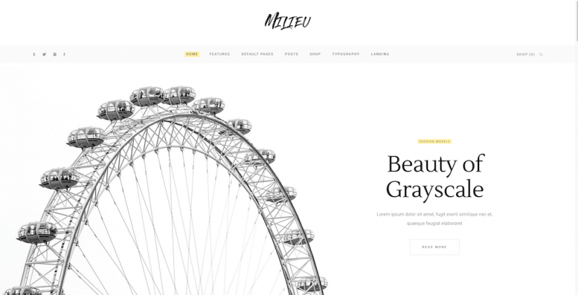 Parallax Home – Milieu