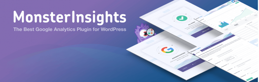 monsterinsights plugin (1)