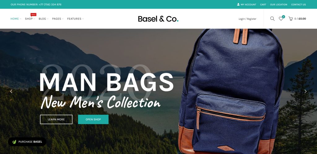 best wordpress ecommerce themes