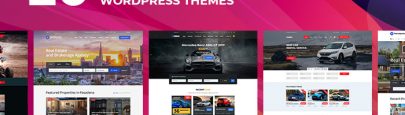 best wordpress directory theme