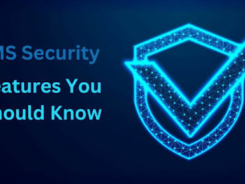 LMS Security - Features You Should Know